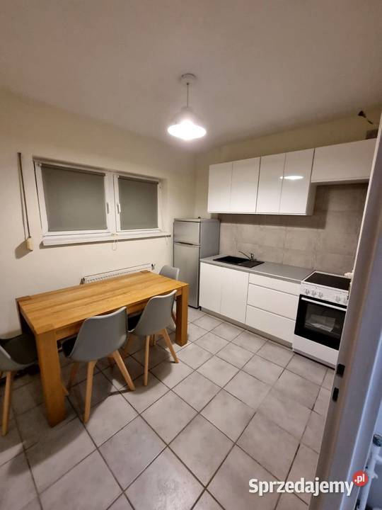 1pok 37met Daszyńskiego ROZKŁADPIWNICA Wrocław Liczba pokoi 1