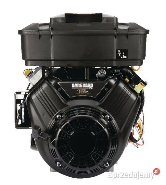 Silnik wał poziomy 18 Vanguard dwucylindrowy Kamionna