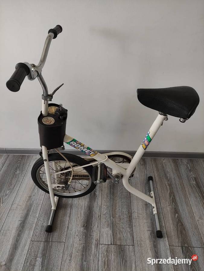 Rower treningowy Romet Pilica