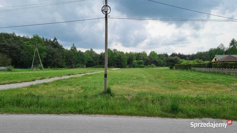 Działka budowlana telefon Włoszczowa