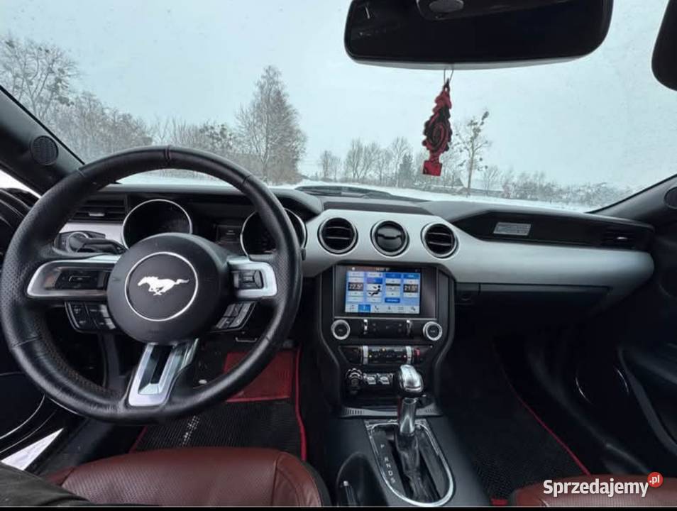 Ford Mustang 23 Ecoboost Siedliszcze