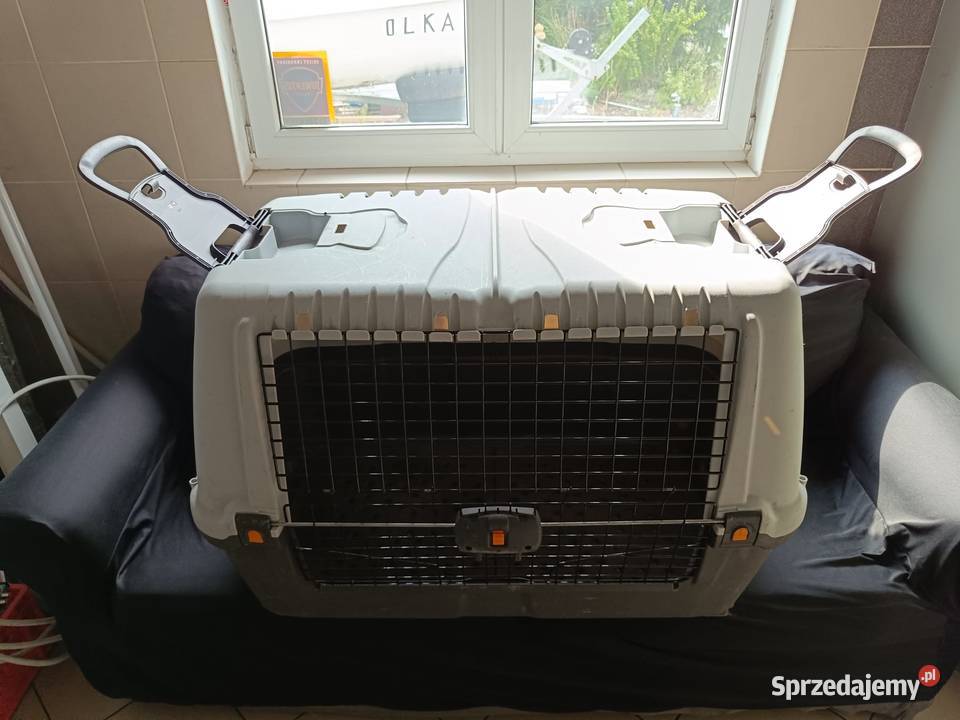 Transporter psa SKUDO CAR 100 duży 99 60 68 do Tychy sprzedam