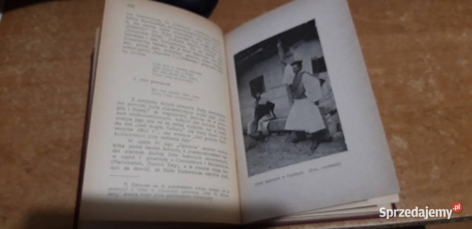 SŁOWACY ich życie i literatura R Zawiliński Iwno