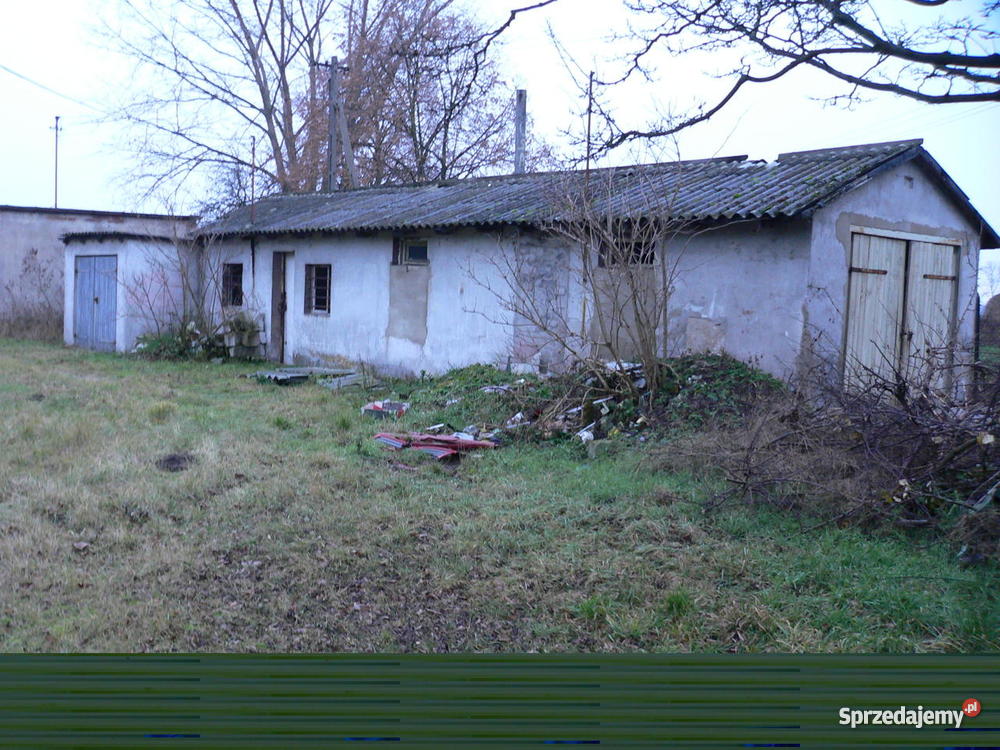 Dom na wsi Robczysko Robczysko sprzedam