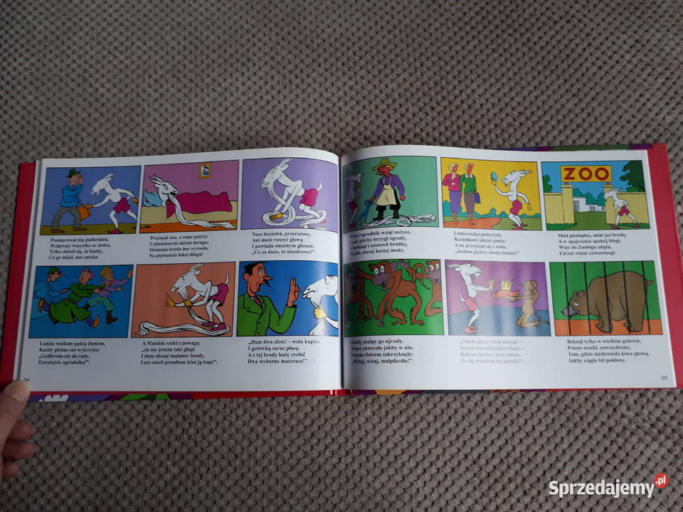 nowa Przygody Koziołka Matołka wszystkie księgi małopolskie Kraków