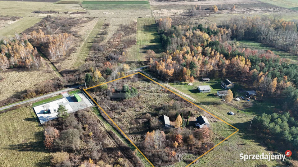 Dom z działką 8400m2 w Pieczonogach Sprzedaż Pieczonogi