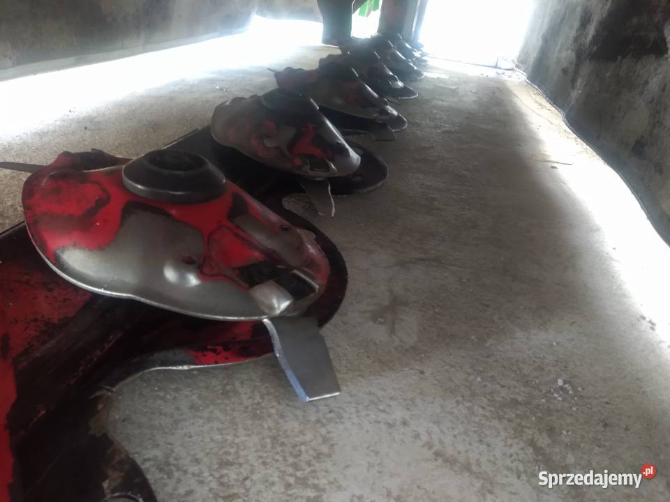 Kosiarka mazowieckie Ostoje