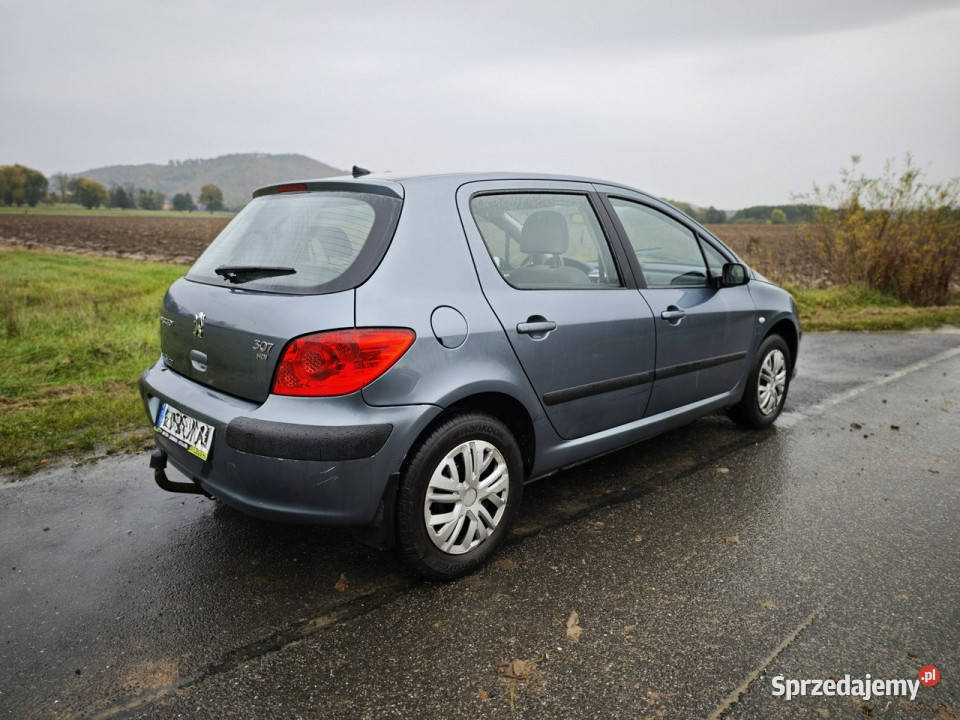 Peugeot 307 II 2005 dolnośląskie Rząśnik