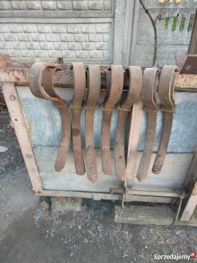 Zęby kultywatora Pozostałe Biała