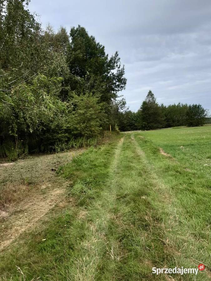 działka rolno budowlana podkarpackie Kosowy