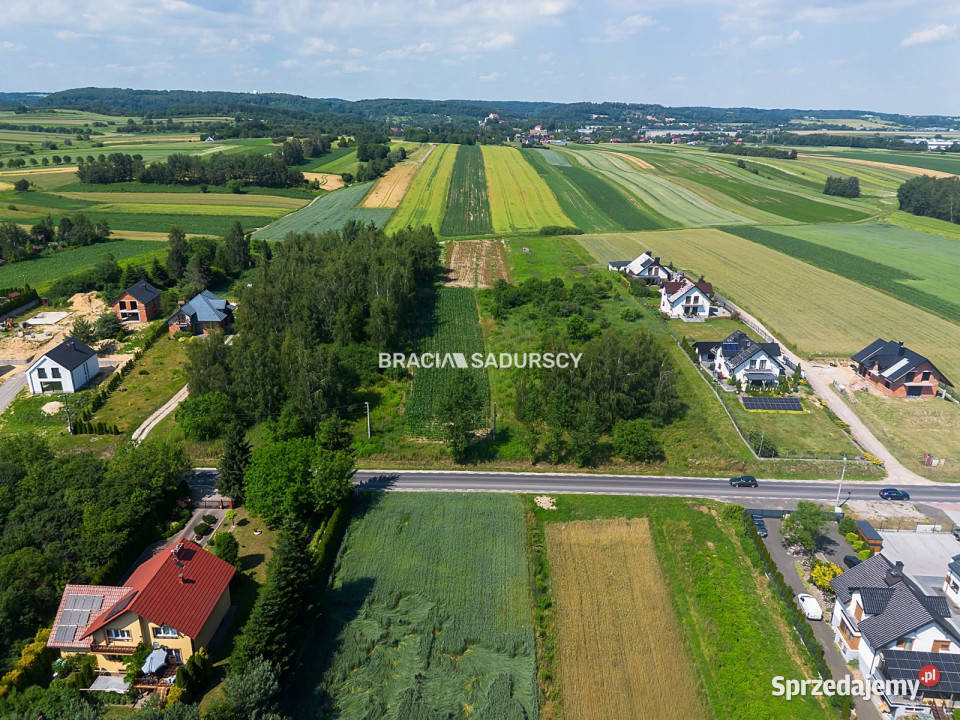 sprzedaży działki Cholerzyn 5800m2 46m