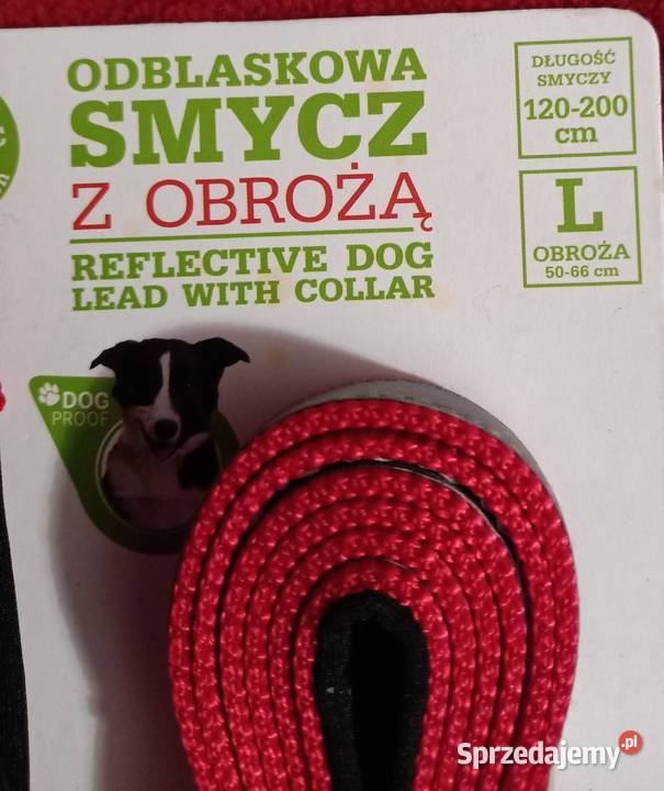 Odblaskowa smycz z obrożą Activ Pet Poznań