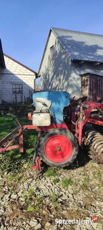 Isaria siewnik zbożowy nieuszkodzony Szczucin