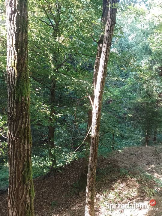 Działka budowlanolesna małopolskie Zawada