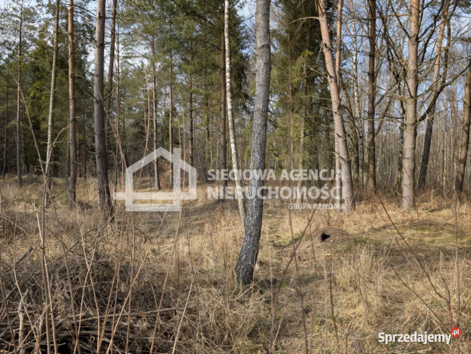 Grunt do sprzedania Otomin 1500m2 866zł/m2 Sprzedaż