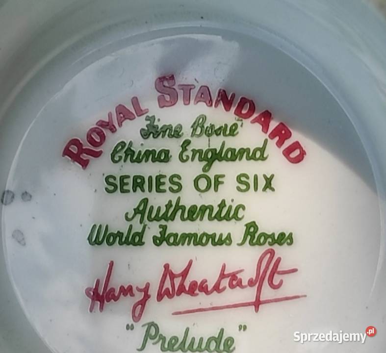 Piękne rzadkie zabytkowe róże Royal Standard Pabianice