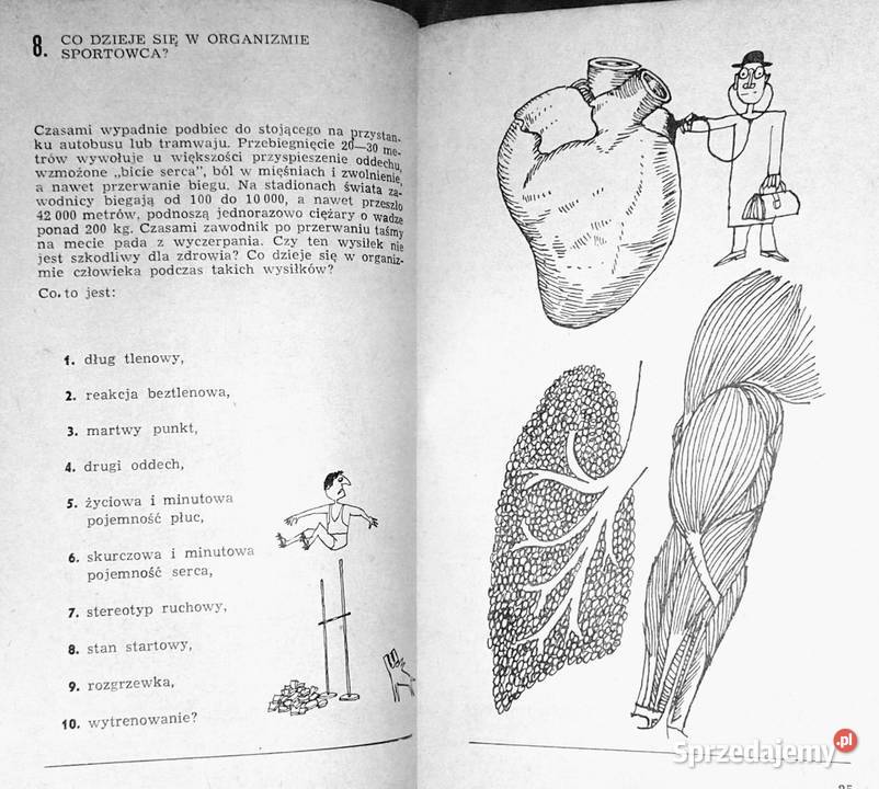 500 zagadek sportowych Eugeniusz Skrzypek miękka Chełm