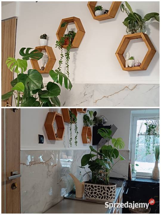 Dom z ogrodem asfalt