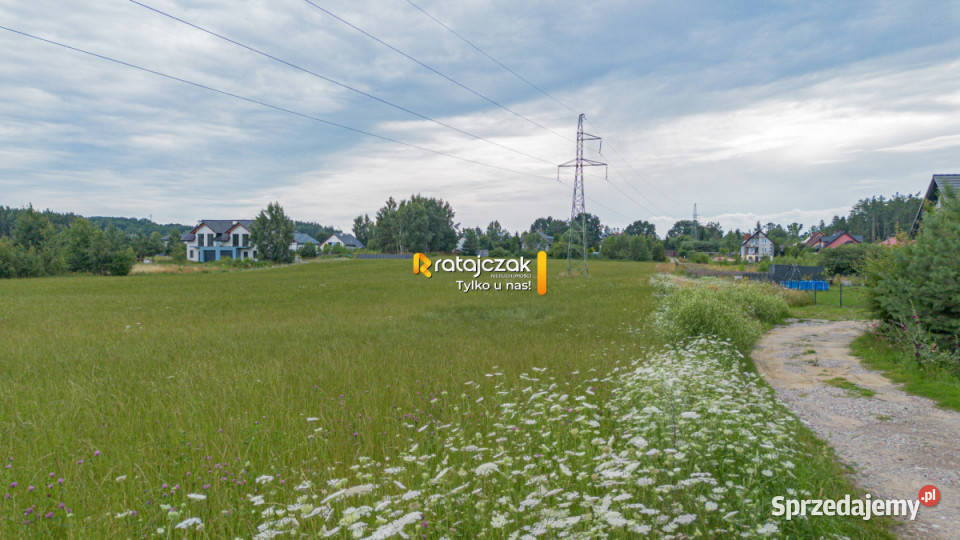Działka Skrzeszewo 2464m2