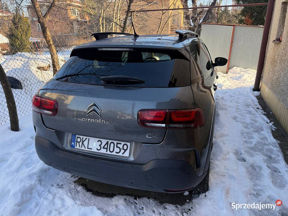 Citron C4 CACTUS 12 Benzyna 75 LED manualna C4 Cactus Rzeszów