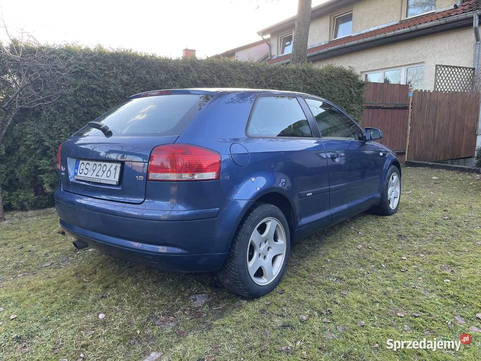 Audi A3 8P 16 MPI LPG Samochody osobowe Słupsk