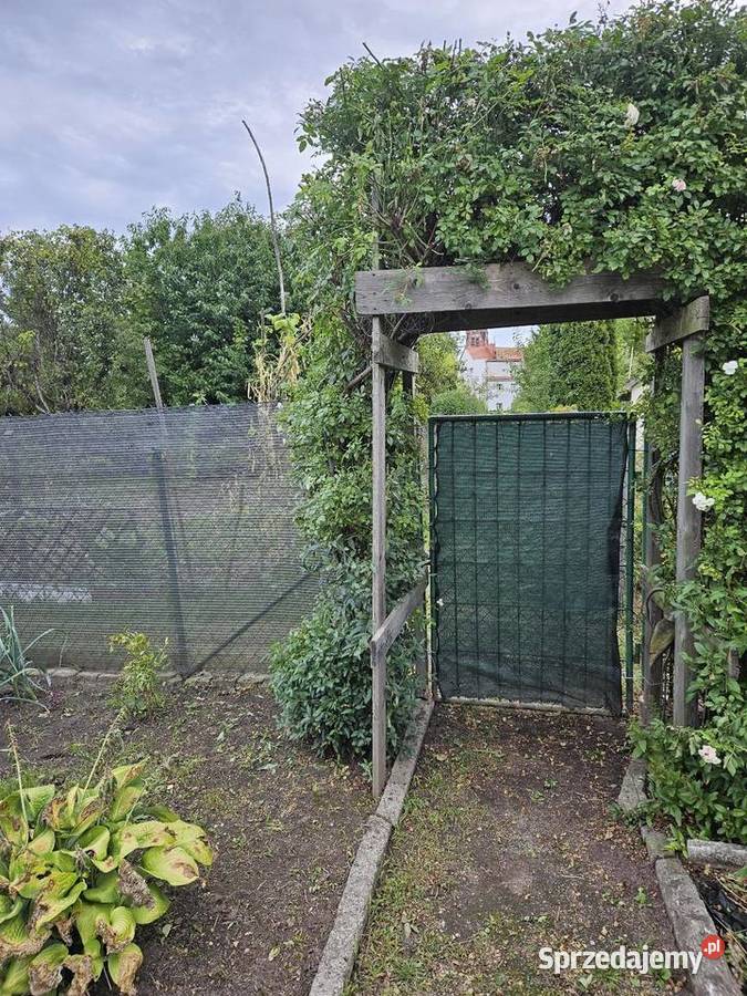 Odstąpię prawo do działki ROD Wrocław