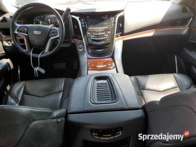 2019 CADILLAC ESCALADE LUXURY Escalade Samochody osobowe łódzkie Bełchatów