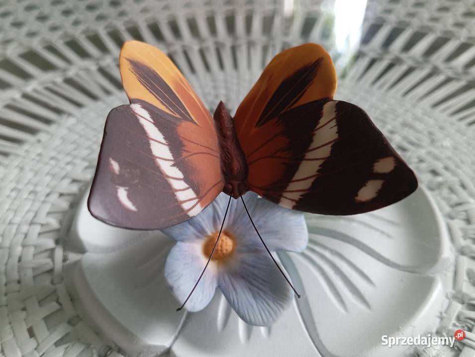 Porcelanowy motyl Franklin Zielona Góra