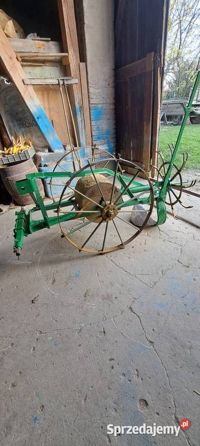 Kopaczka konna niemiecka Lusina