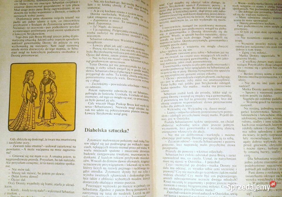 Spadek synach Słońca Aleksander Rowiński lubelskie