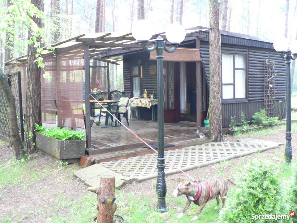 DOMEK LETNISKOWY W ZAWADACH Zawady