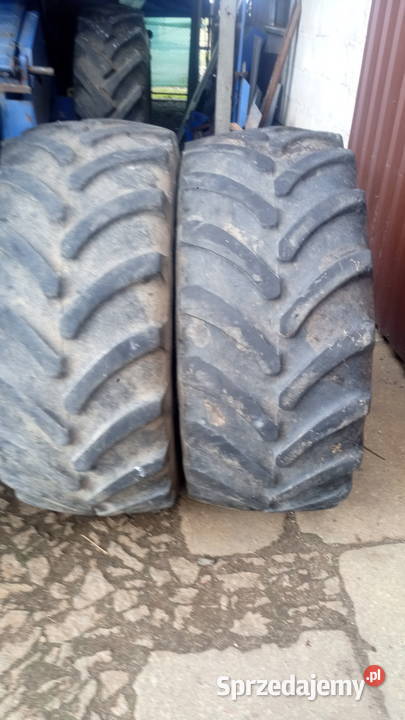 opona 480 65 24 600 65 38 Golina