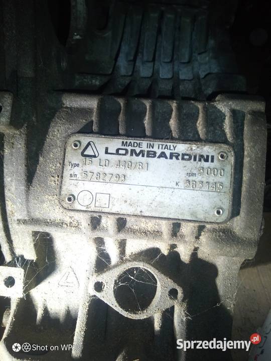 Blok silnika lombardini Gniezno