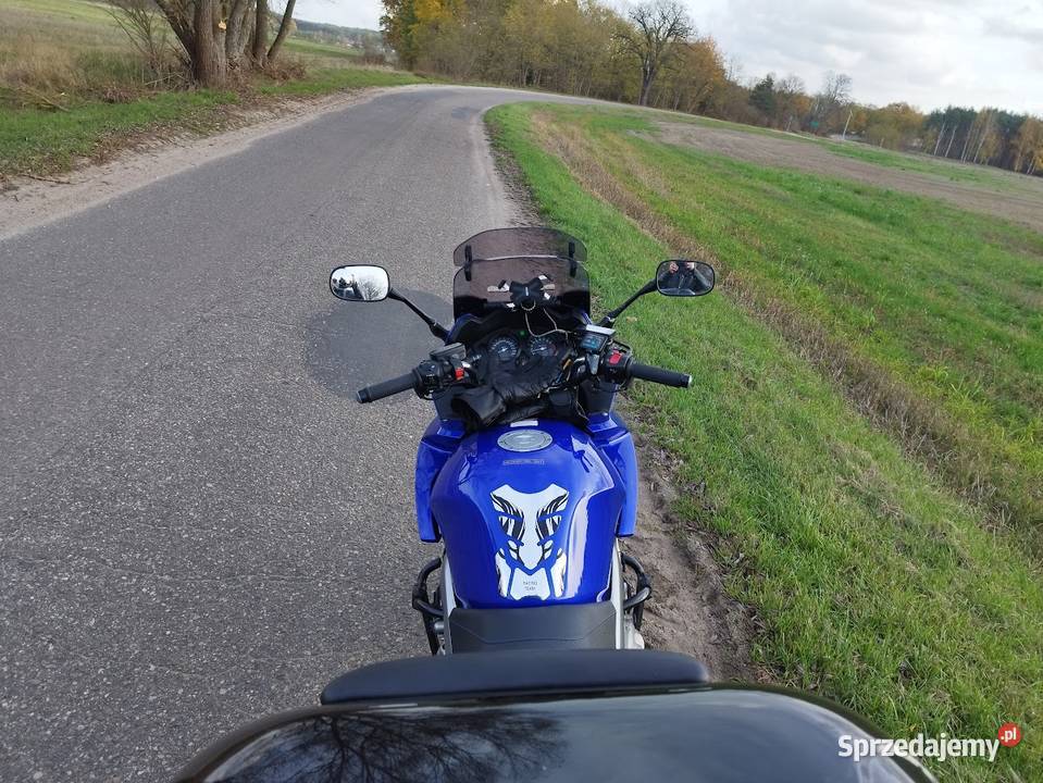 Honda CBF 1000 Skwierzyna sprzedam