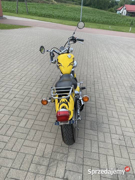 Yamaha Virago 535 Yamaha Pszczew