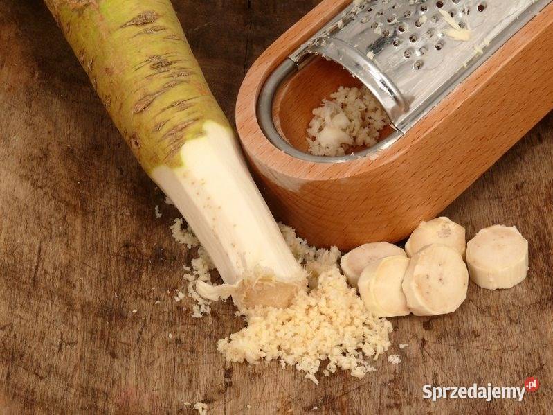 Chrzan Piękna Sadzonka Najlepsza Polska Odmiana Zioła Rawa Mazowiecka