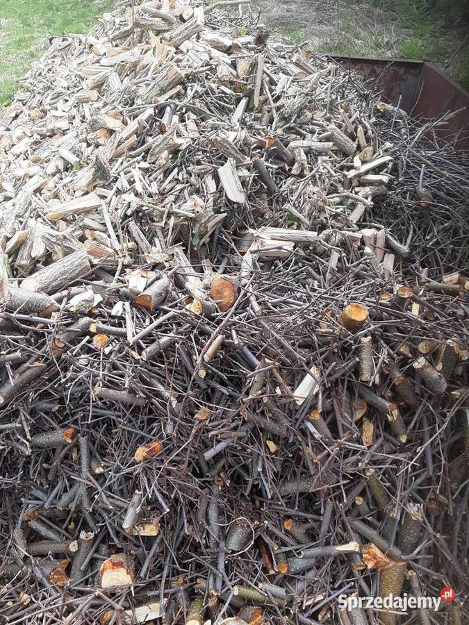 Zrębki drzewne łódzkie Borszewice Kościelne