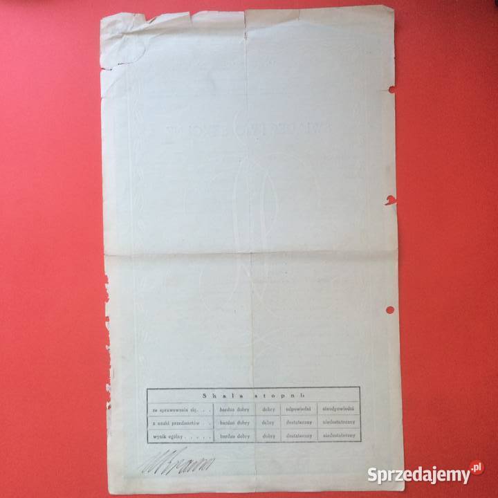 1798 Świadectwo Szkolne Odolanów Krawiec Szczecin sprzedam