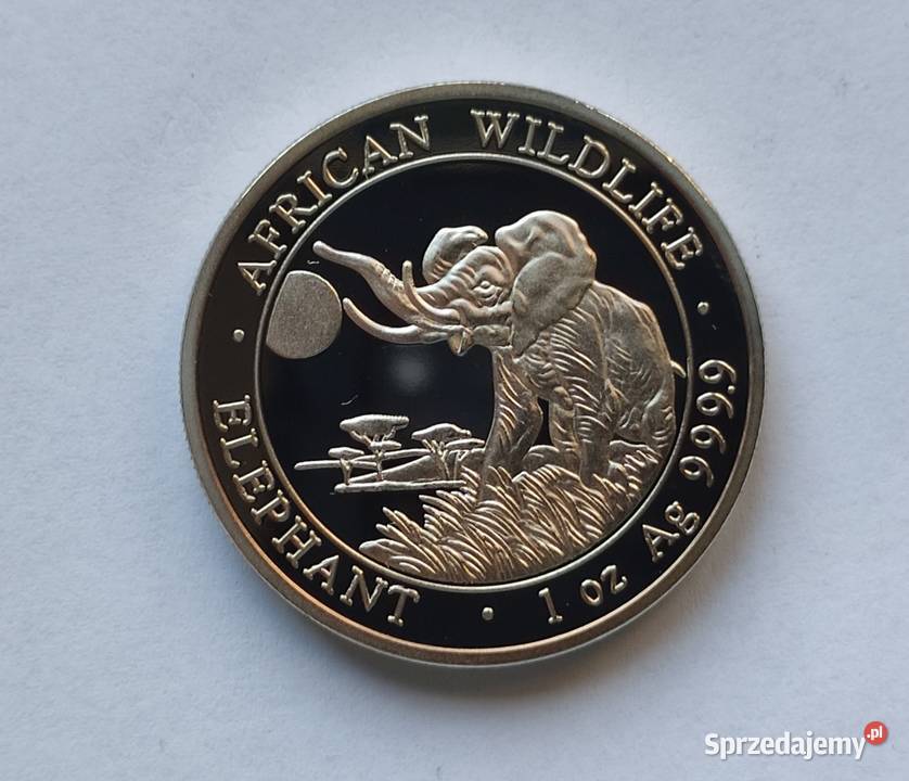 MONETA SOMALIA 100 SHILLINGS 2020 SŁOŃ Numizmatyka Pruszków