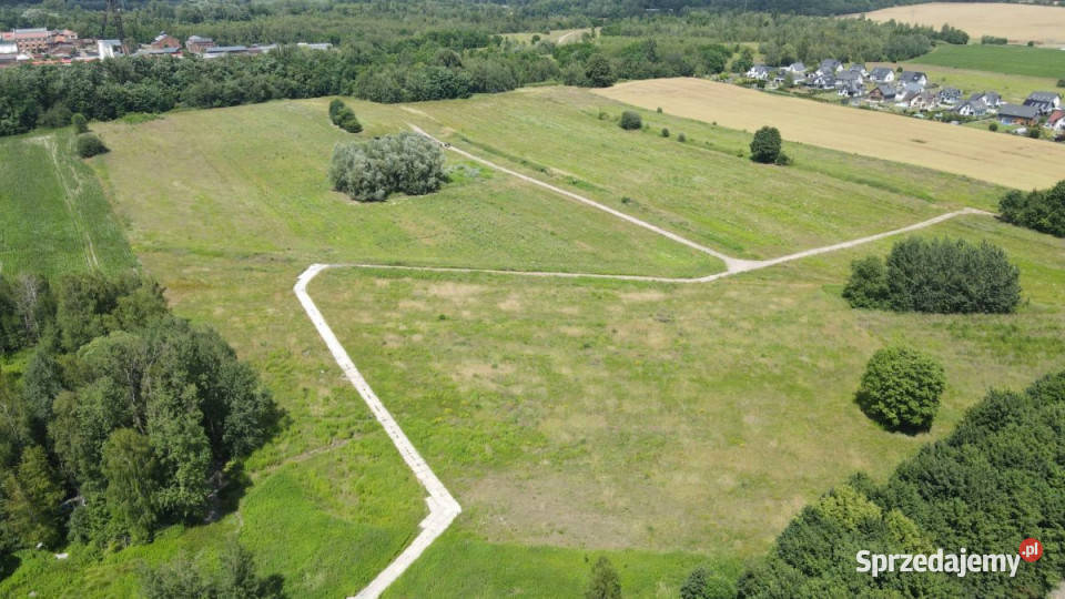 Działkę sprzedam Zabrze Jana Kasprowicza 504m2 sprzedam