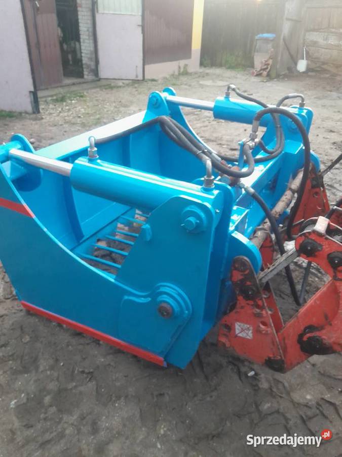 Wycinak szczękowy krokodyl nieuszkodzony Sulborowice