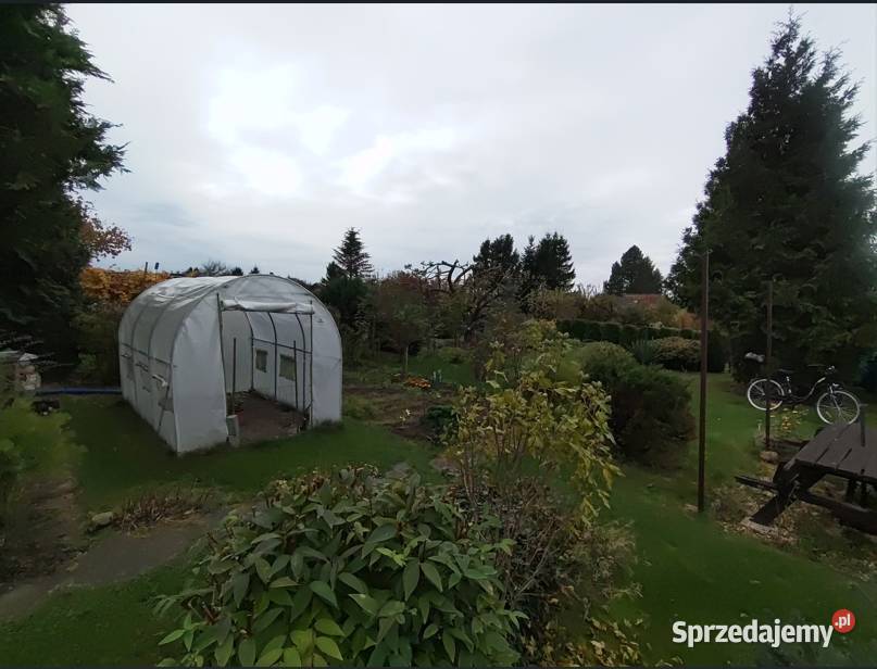 Działka rekreacyjna ROD morza Kamień Pomorski