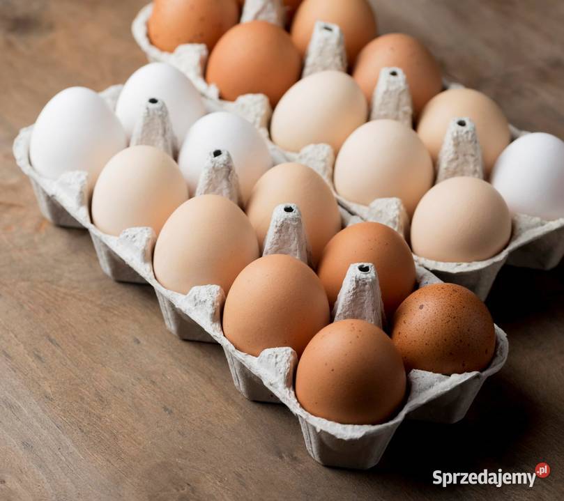Jajka swojskie z wolnego wybiegu Przydroże Wielkie sprzedam