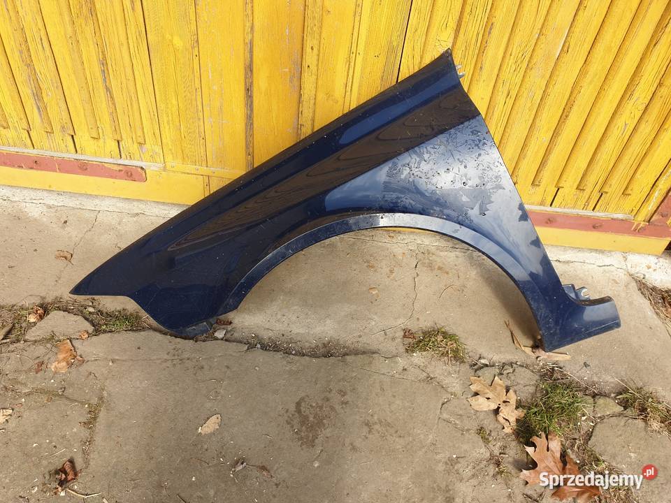 Błotniki Laguna II DVD42 części blacharskie Sandomierz