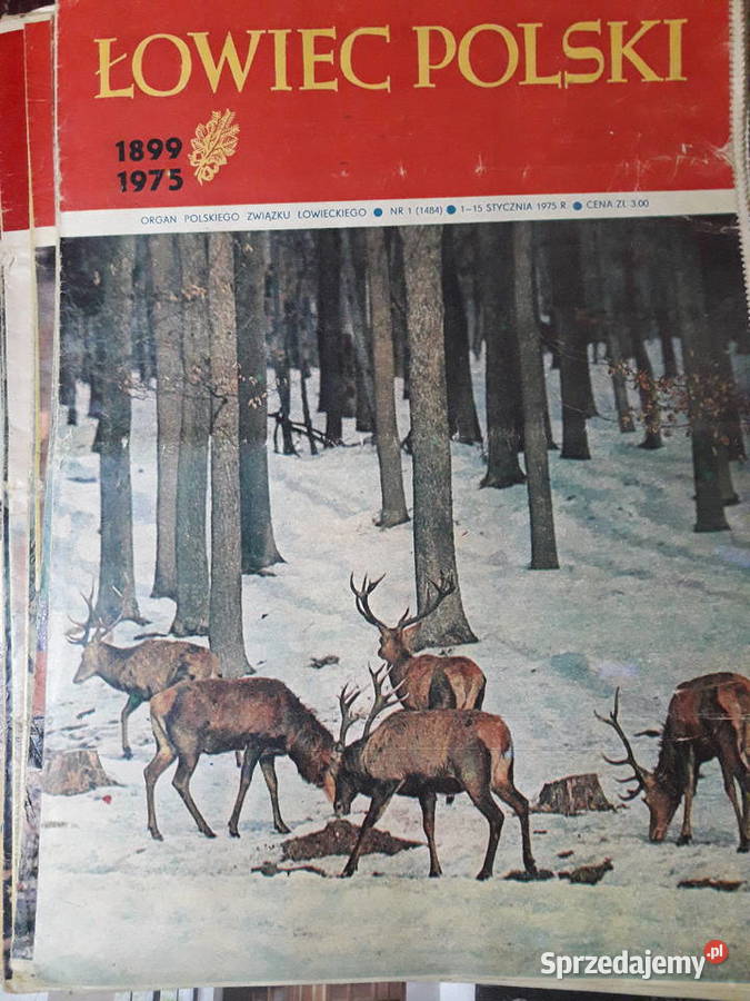 Łowiec Polski 1 do 24 1975 STARA KOLEKCJA PRL Warszawa sprzedam
