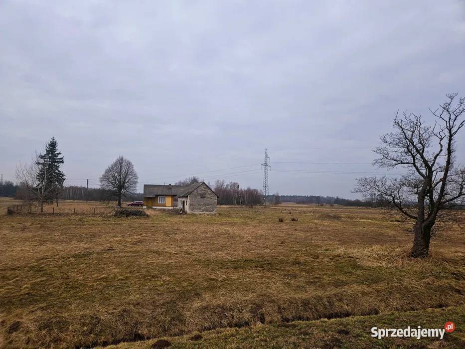 Siedlisko rzece Pilicy k Koniecpola śląskie Wąsosz