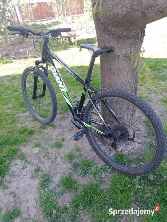Giant aluxx 6000 26 Pawliczka