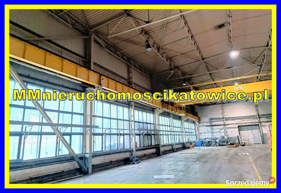 Oferta wynajmu lokalu 1490m2 Zabrze