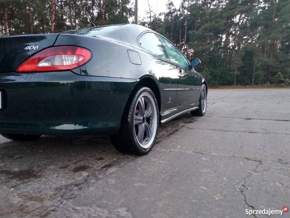 Peugeot 406 vin