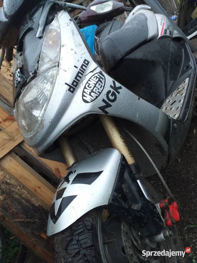 Peugeot vivacity 50 Września